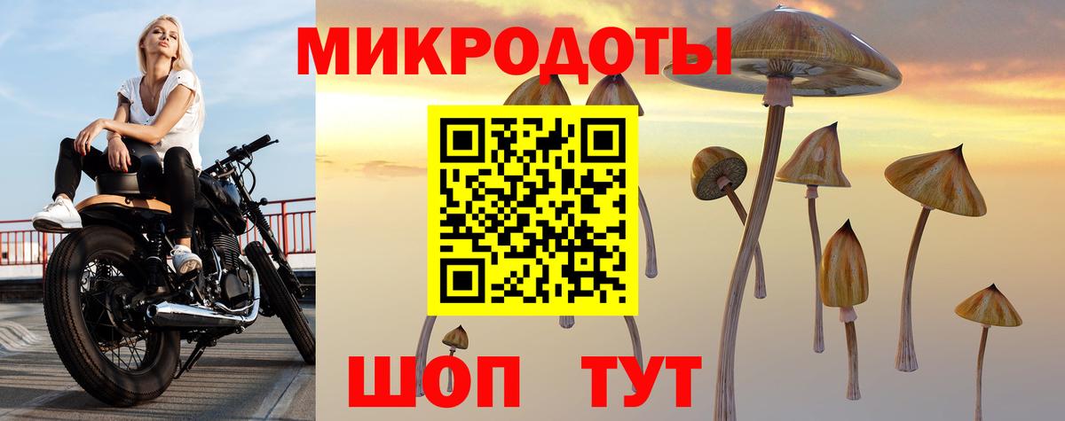 Псилоцибиновые грибы Cubensis  Вход с VPN  Ступино  купить закладку  Галлюциногенные грибы ЛСД 